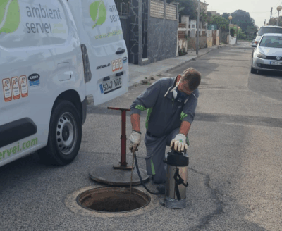 Campanya de control de plagues a la Pobla de Montornès