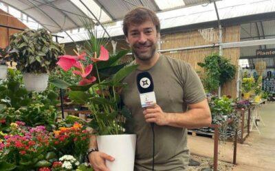 El Garden Gaià d’Altafulla, el millor de tot Catalunya segons els experts del sector