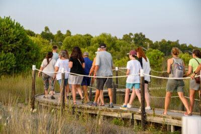 Visites guiades gratuïtes al Sender Blau de Torredembarra aquest estiu