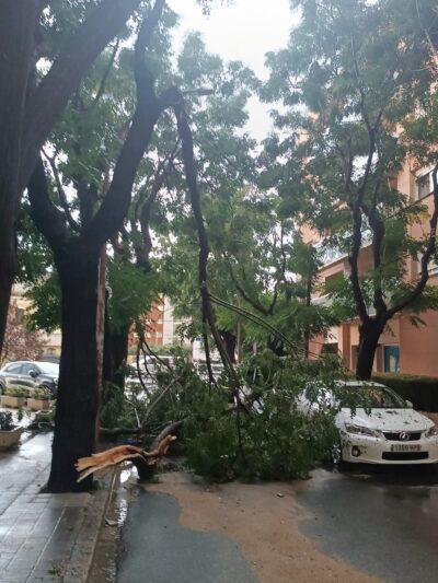 Nou episodi de tempestes que deixa arbres caiguts i inundacions a Torredembarra i el Baix Gaià